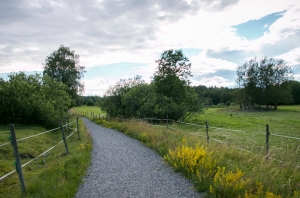 Näyttökuva-2018-05-07-kello-21.26.29-300x198
