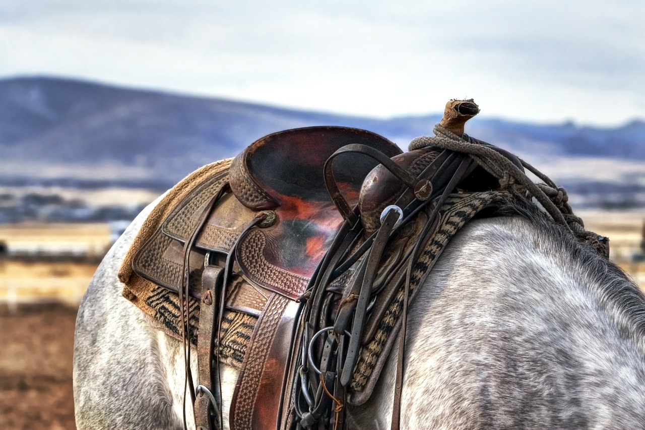 Lännenratsastus kehittää sekä hevosen että ratsastajan taitoja