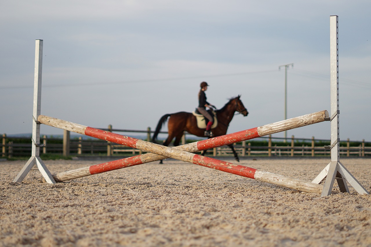 Hevonen huipputeknologiaa käyttävänä urheilijana  – varusta hevosesi moderneilla varusteilla