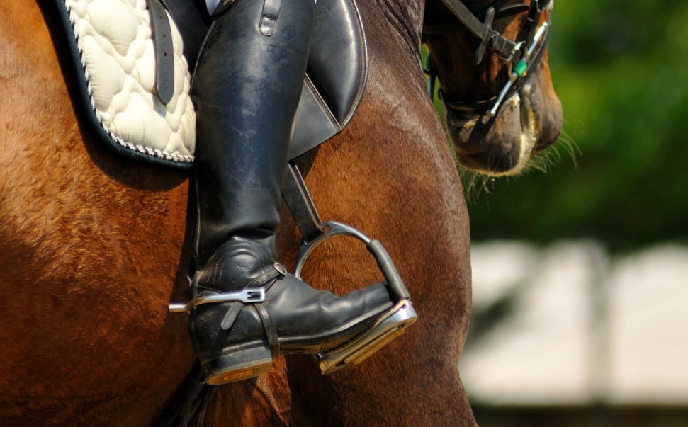 FEI:n vuosikokouksessa kannatusta kolmen ratsukon olympiajoukkueille