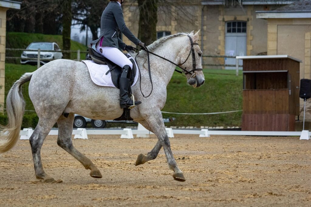horse-4114160_1280-1024x682  