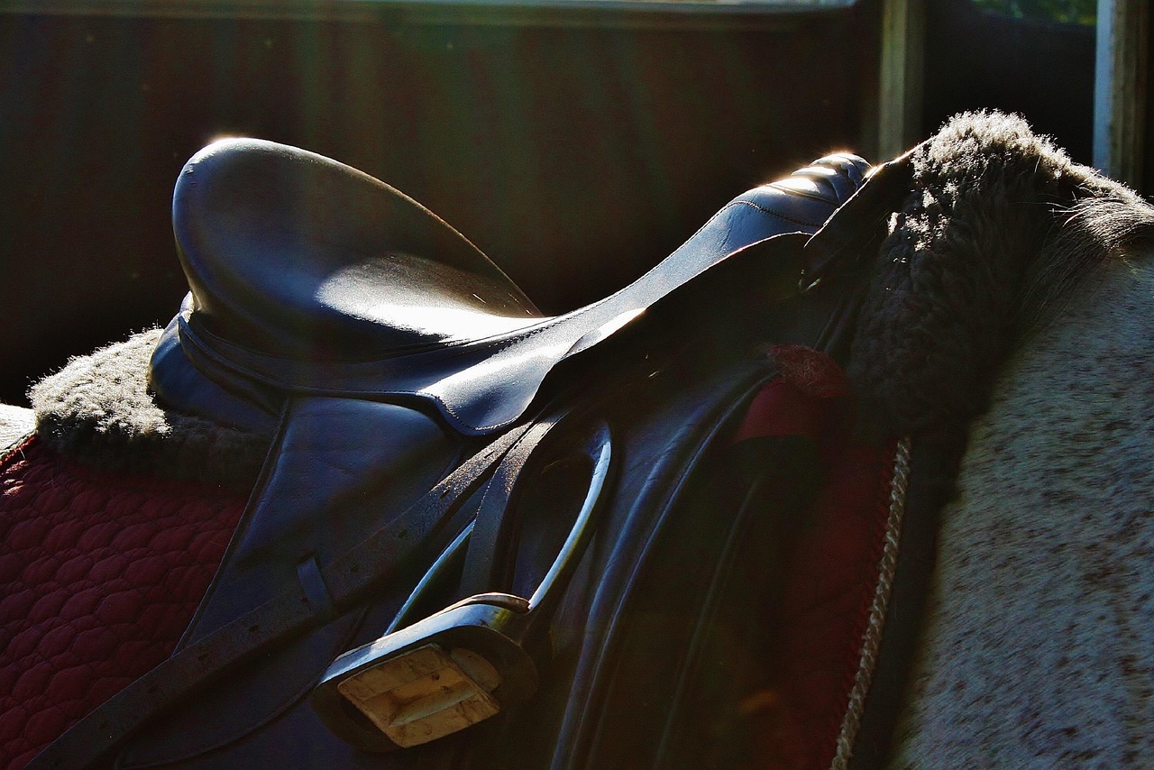 saddle-3437386_1280