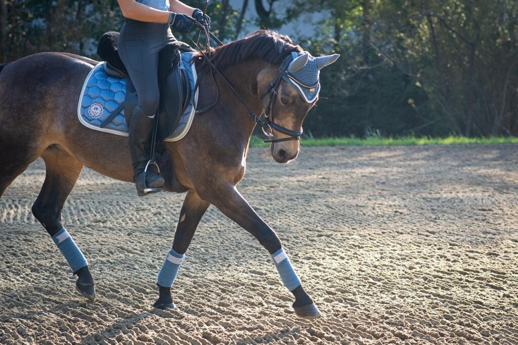 horse-6724233_1280-1-1024x682  